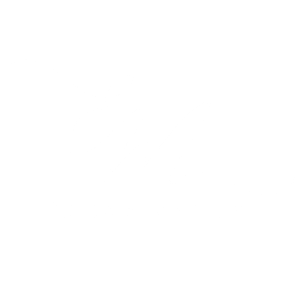 Érica e Mateus